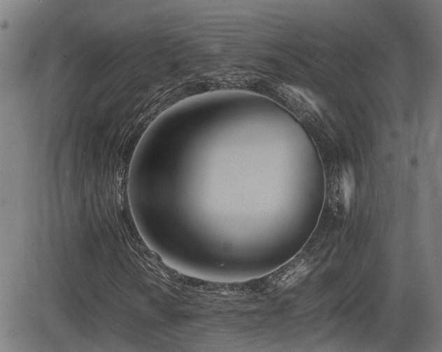 X0000083011010200702021044
