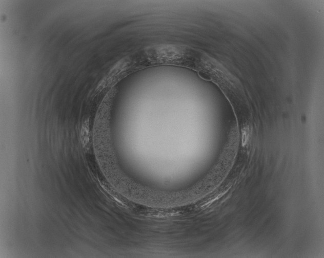 X0000083011011200702021044