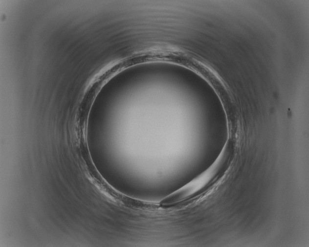 X0000083011018200702021044