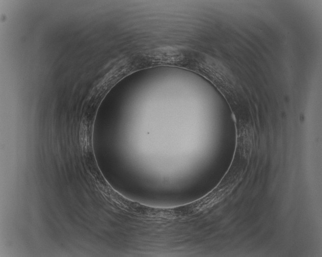 X0000083011058200702021044