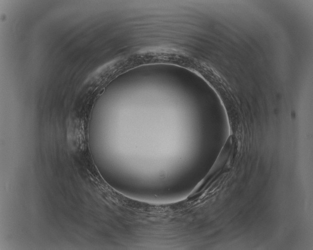 X0000083011062200702021044