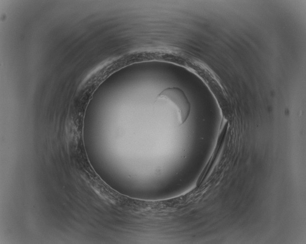 X0000083011064200702021044