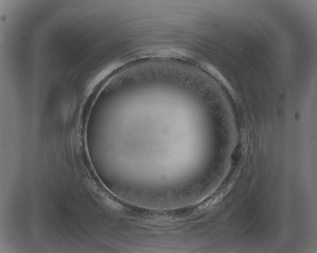 X0000083011071200702021044
