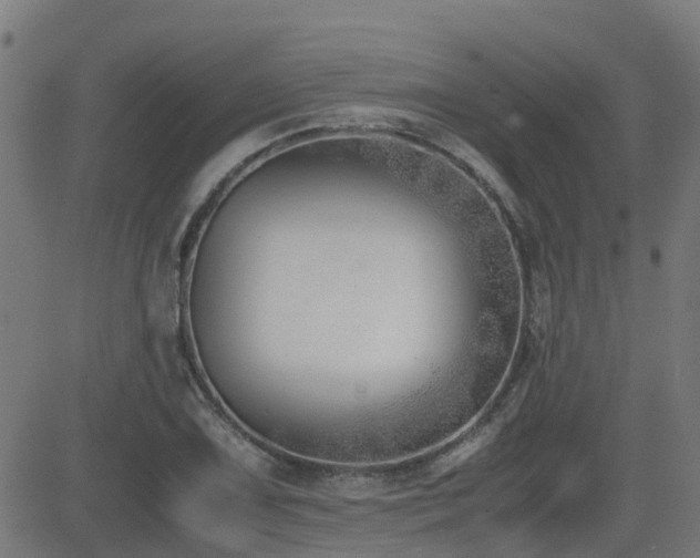 X0000083011075200702021043