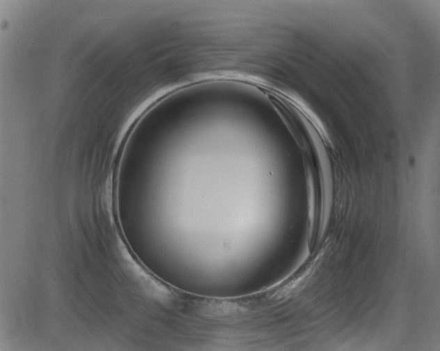 X0000083011100200702021043