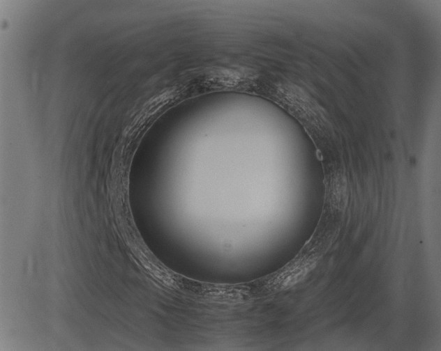 X0000083011105200702021042