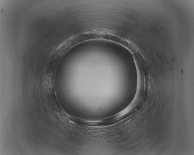 X0000083011110200702021042