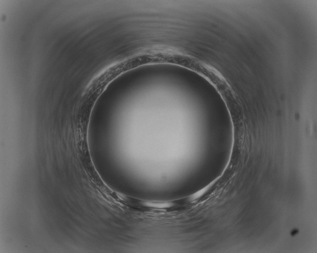 X0000083011112200702021042