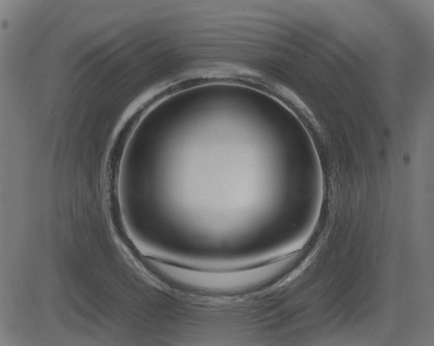 X0000083011122200702021042