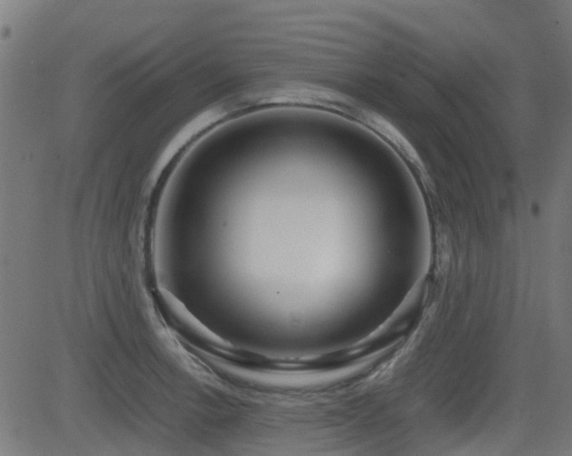 X0000083011138200702021043