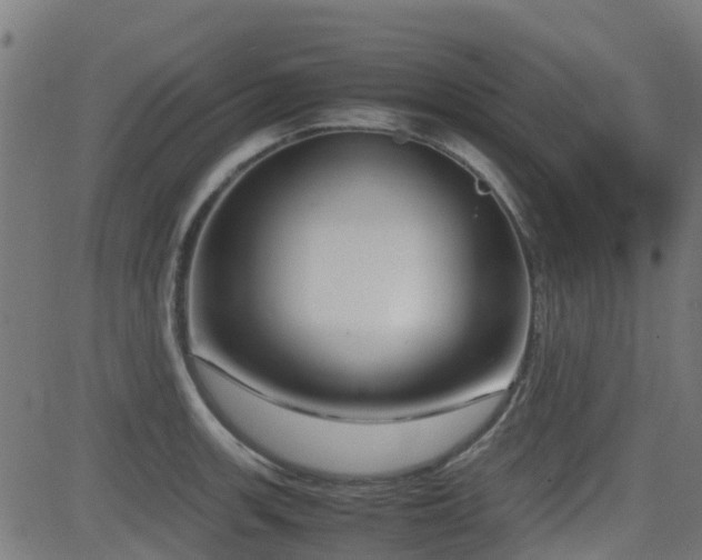 X0000083011139200702021043