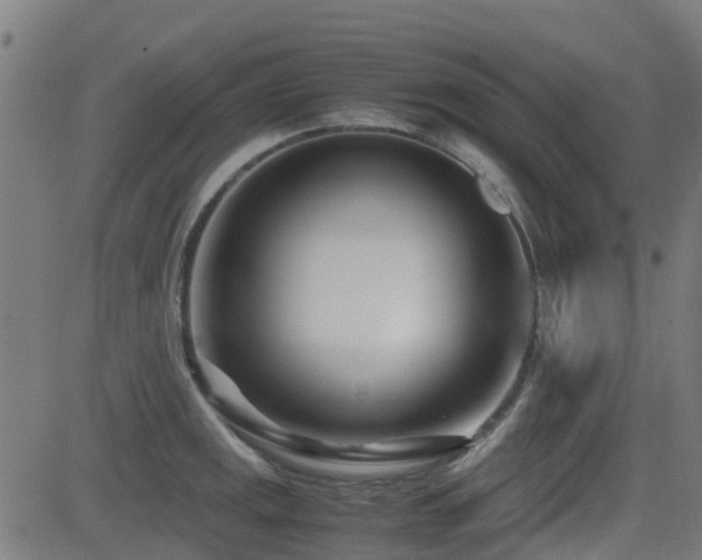 X0000083011141200702021043