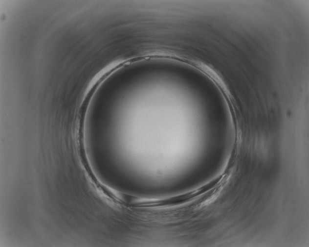 X0000083011149200702021043