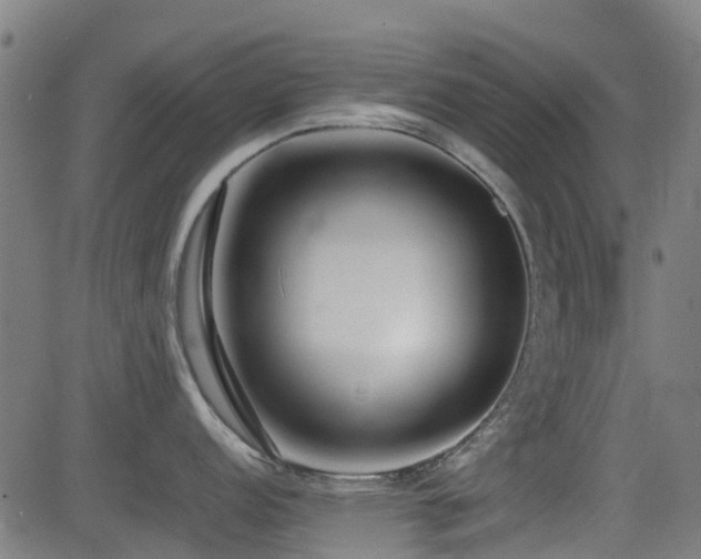 X0000083011152200702021043