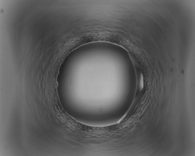 X0000083011153200702021042
