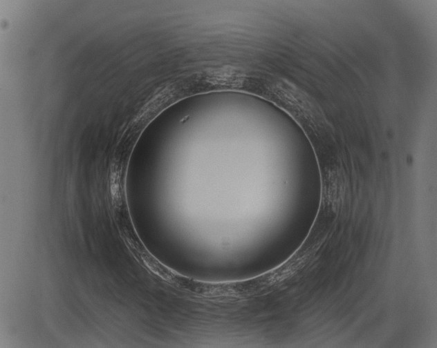 X0000083011154200702021042