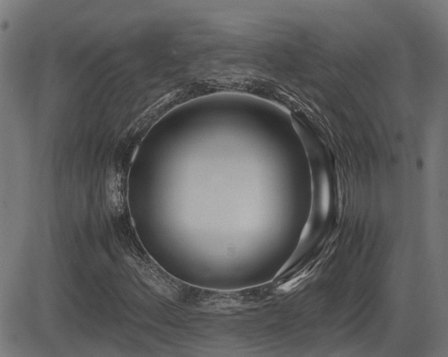 X0000083011156200702021042