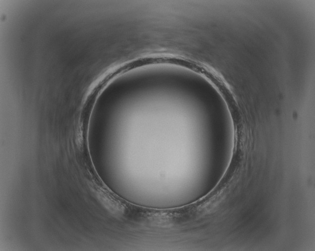 X0000083011167200702021042