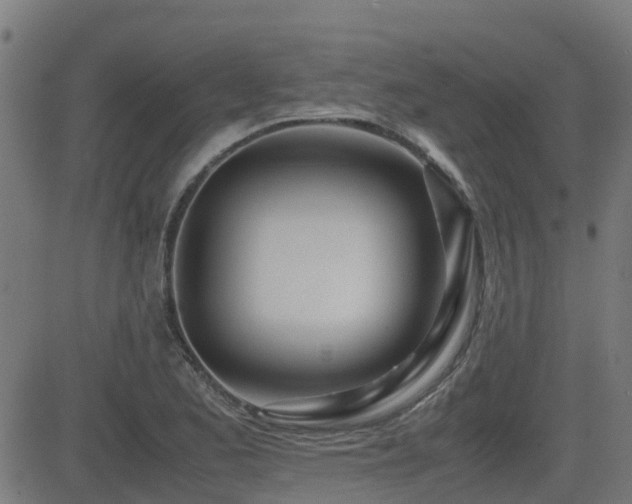 X0000083011173200702021042