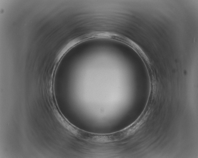 X0000083011194200702021042