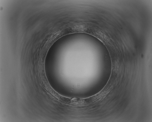 X0000083011201200702021041