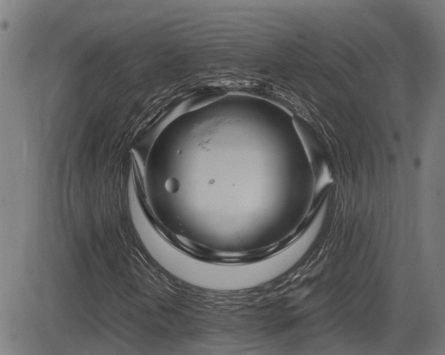 X0000083011202200702021041