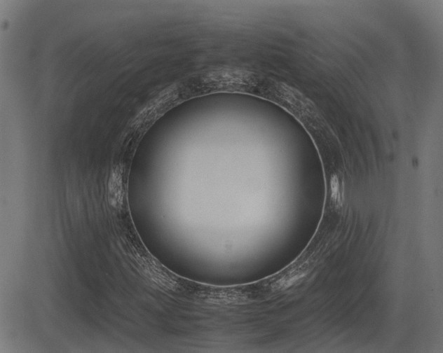 X0000083011203200702021041