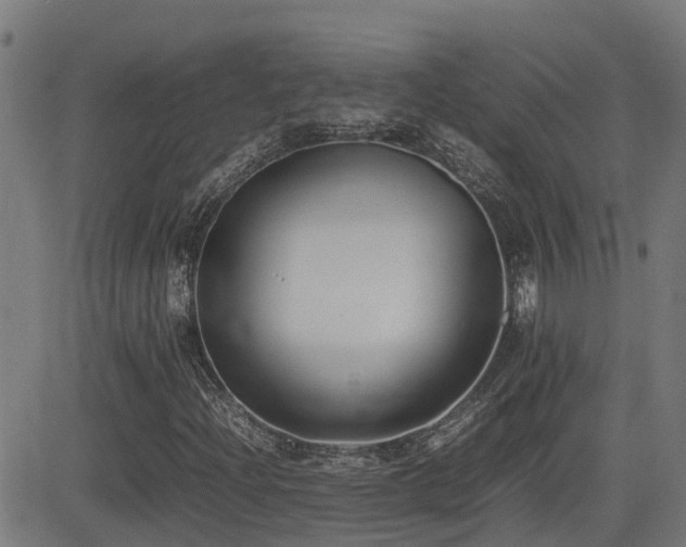 X0000083011204200702021041