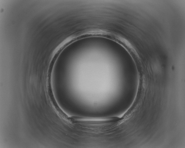 X0000083011229200702021041