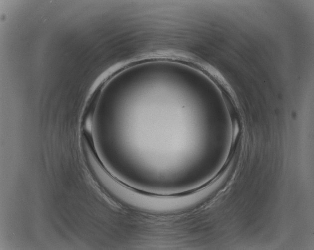 X0000083011230200702021041