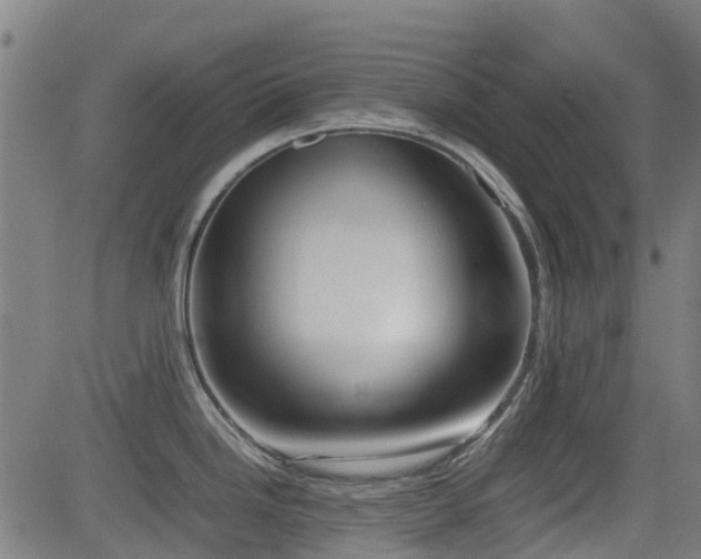 X0000083011246200702021041