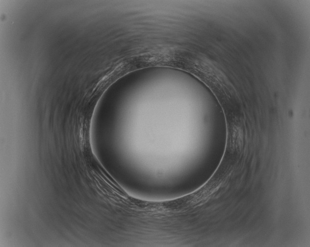 X0000083011250200702021041