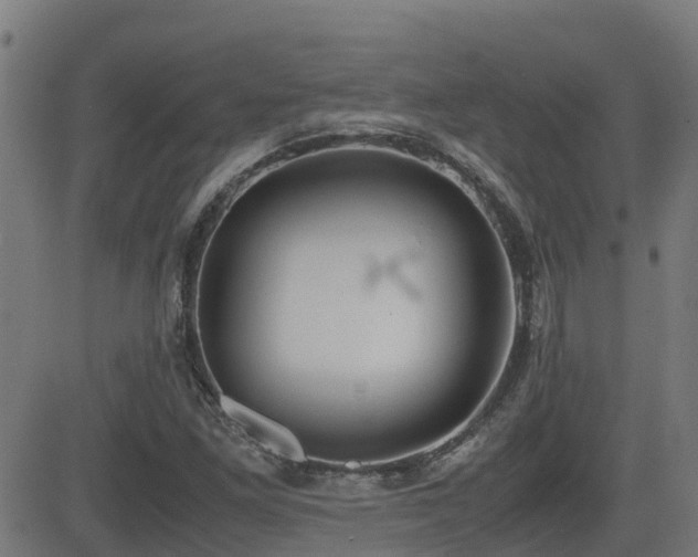 X0000083011261200702021040