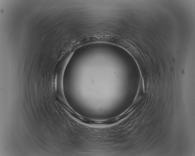 X0000083011298200702021039