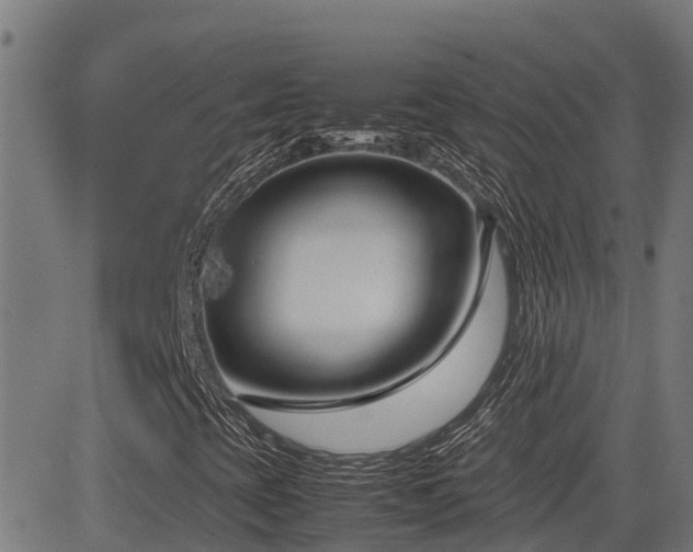 X0000083011393200702021037