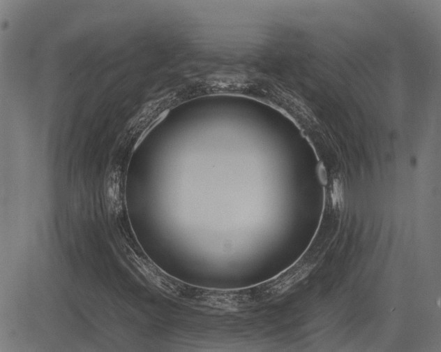 X0000083011396200702021038