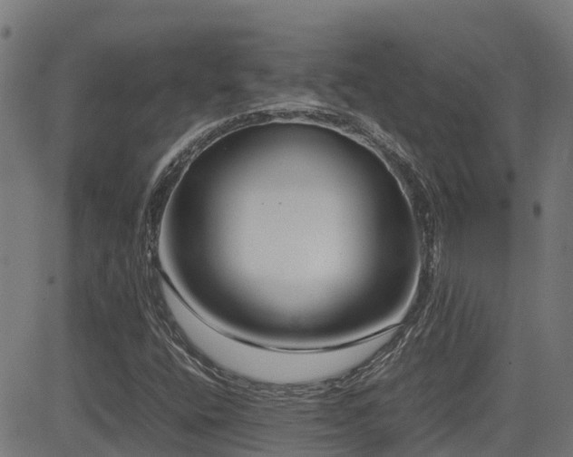X0000083011400200702021038