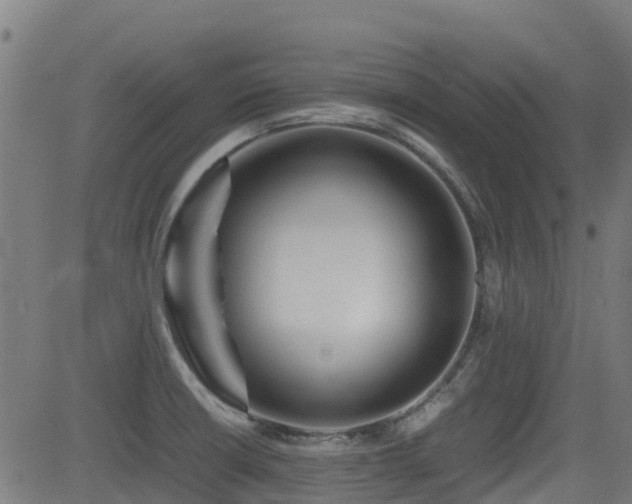 X0000083011426200702021038