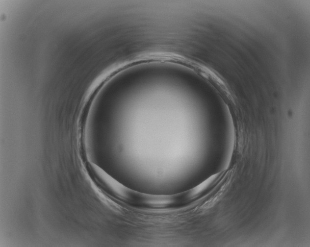 X0000083011430200702021038