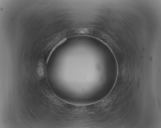X0000083011442200702021037