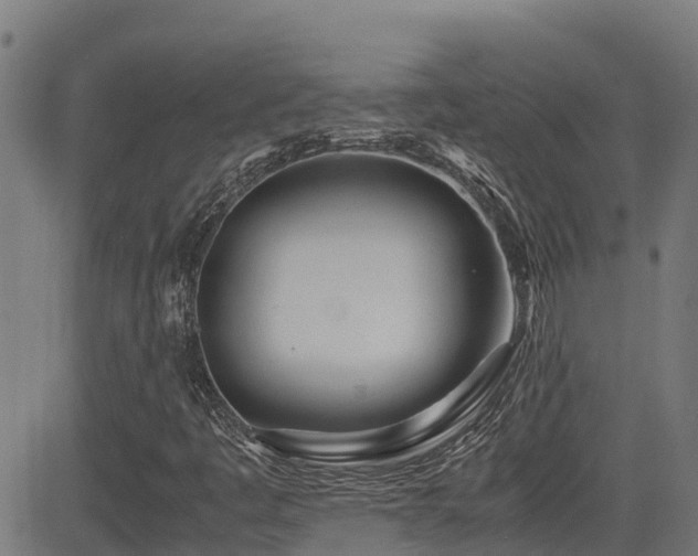 X0000083011445200702021037