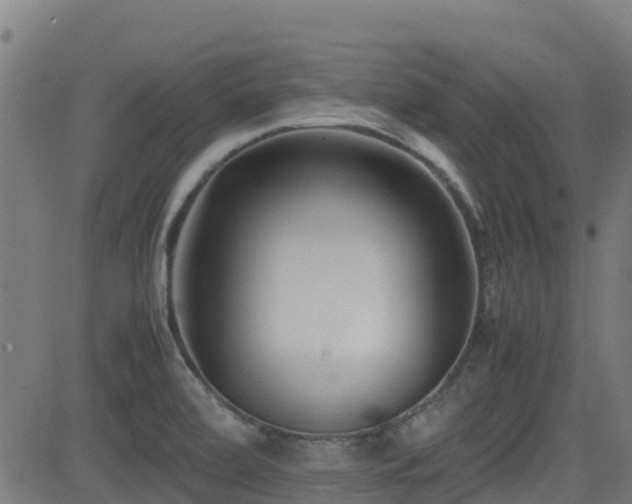 X0000083011472200702021037
