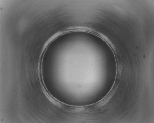 X0000083011482200702021037