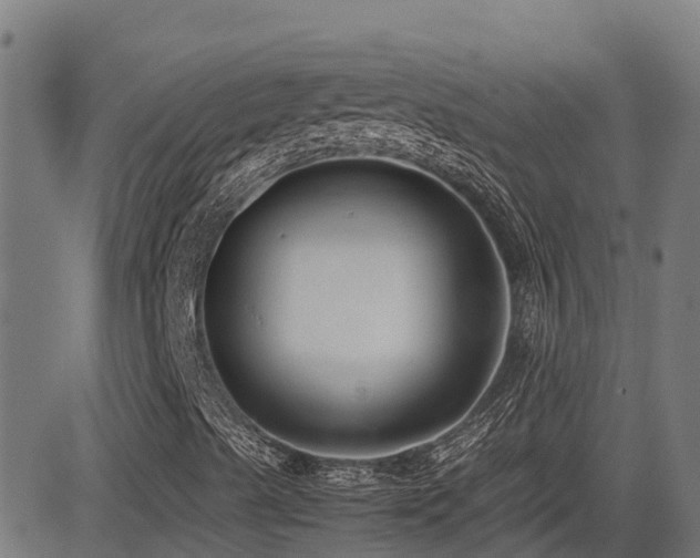 X0000083011489200702021036