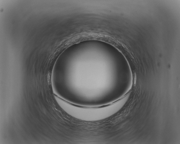 X0000083011492200702021036