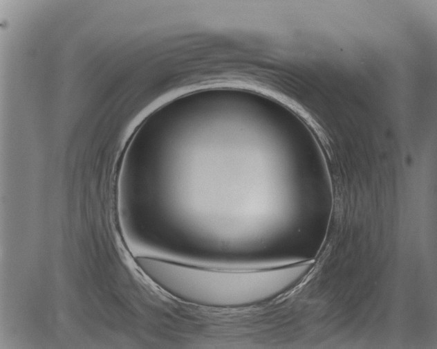 X0000083011534200702021037