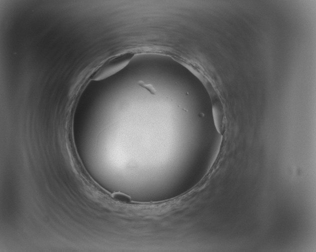 X0000083010001200702091303