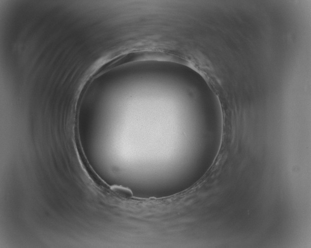 X0000083010003200702091303