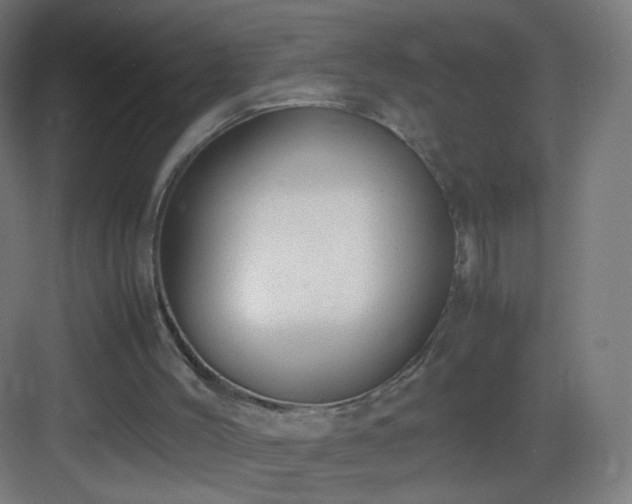 X0000083010004200702091303