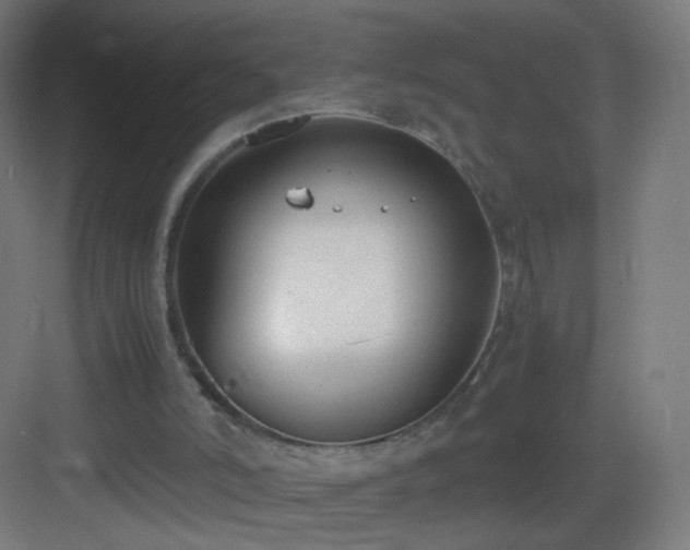 X0000083010006200702091303